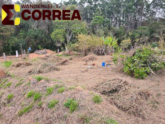 Terreno para Venda em Pilar do Sul - 4