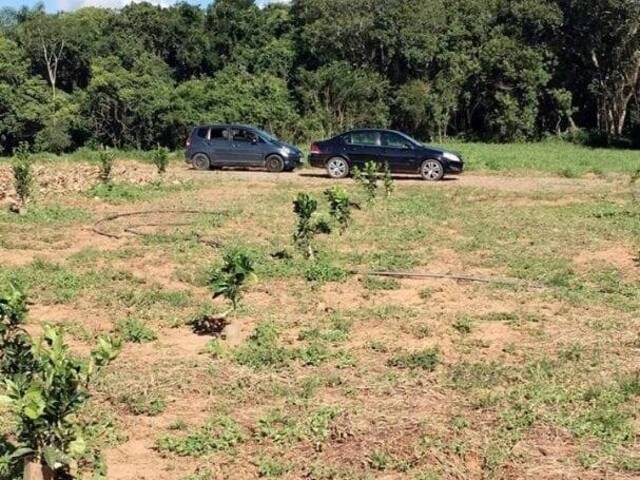 Chácara para Venda em Pilar do Sul - 4