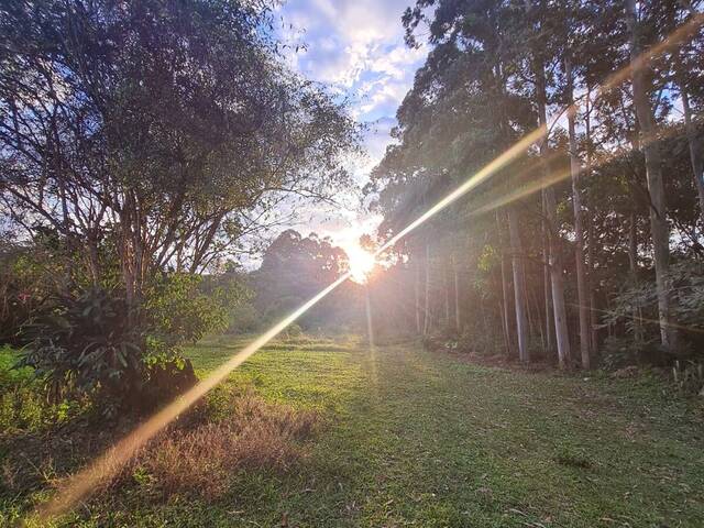 Chácara para Venda em Pilar do Sul - 5