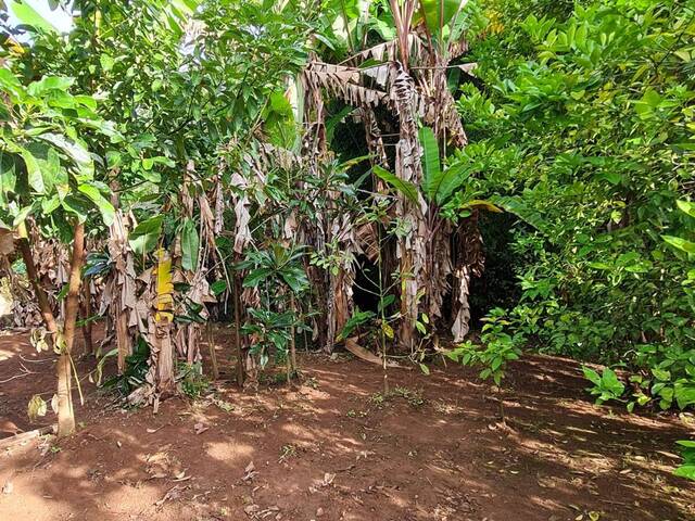 Chácara para Venda em Pilar do Sul - 4