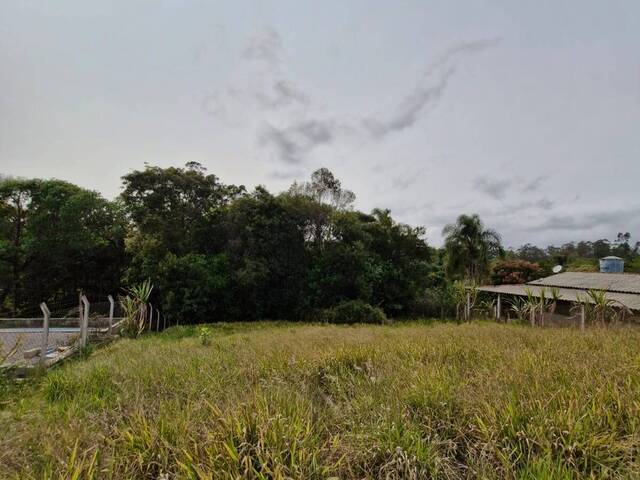 Venda em JARDIM CANANEIA - Pilar do Sul