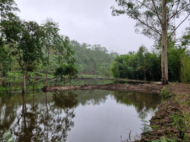 Venda em RIO BONITO - Tapiraí