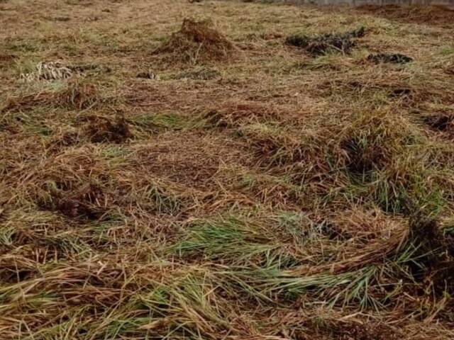 Terreno para Venda em Pilar do Sul - 2